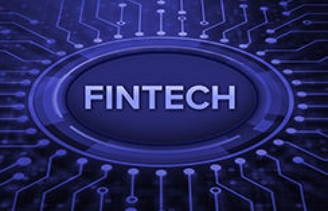 Financial Technology Industry Case Study